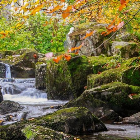 Bodfeurig Farm Cottage Bangor  Dış mekan fotoğraf