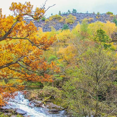 Bodfeurig Farm Cottage Bangor  Dış mekan fotoğraf