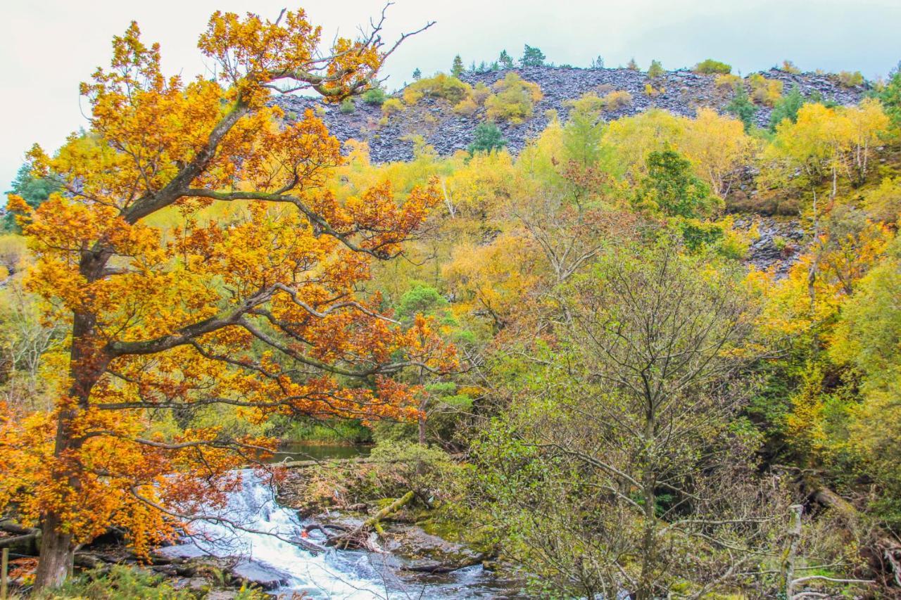 Bodfeurig Farm Cottage Bangor  Dış mekan fotoğraf